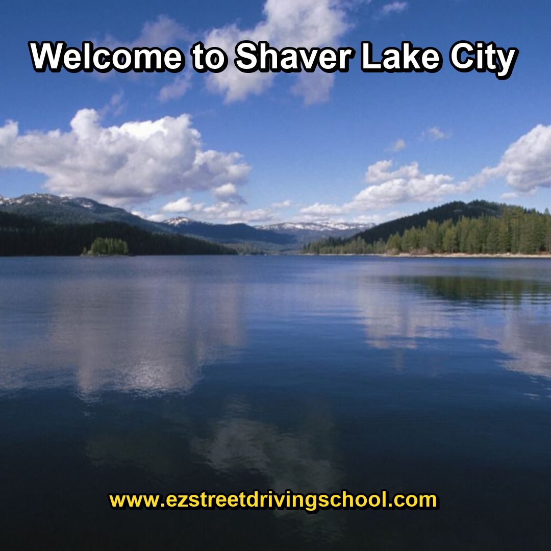 Driving Lessons in Shaver Lake